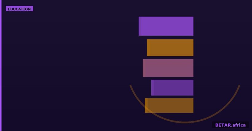 African STEM students scholarship programme