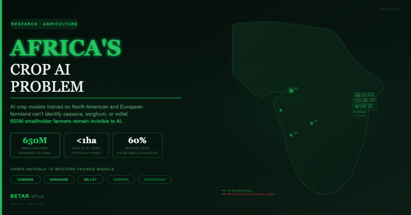 Africa agricultural AI localisation smallholder farms challenge — BETAR.africa