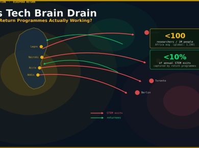 Africa tech brain drain and diaspora return programmes analysis